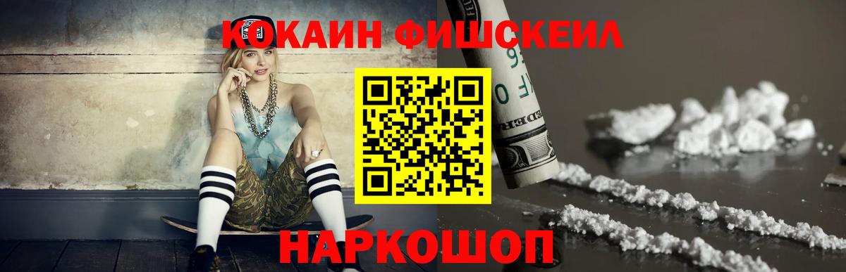 COCAIN Fish Scale  Вход с VPN  Волжск  Cocaine VHQ 