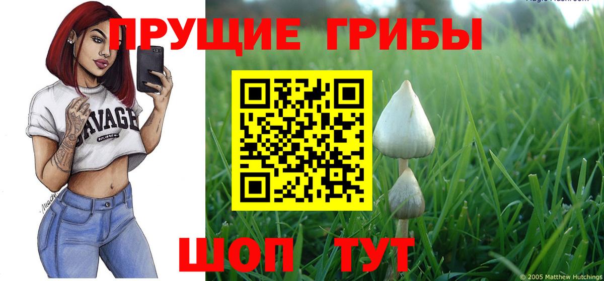 Псилоцибиновые грибы ЛСД  Псилоцибиновые грибы GOLDEN TEACHER  Волжск  Вход с VPN 