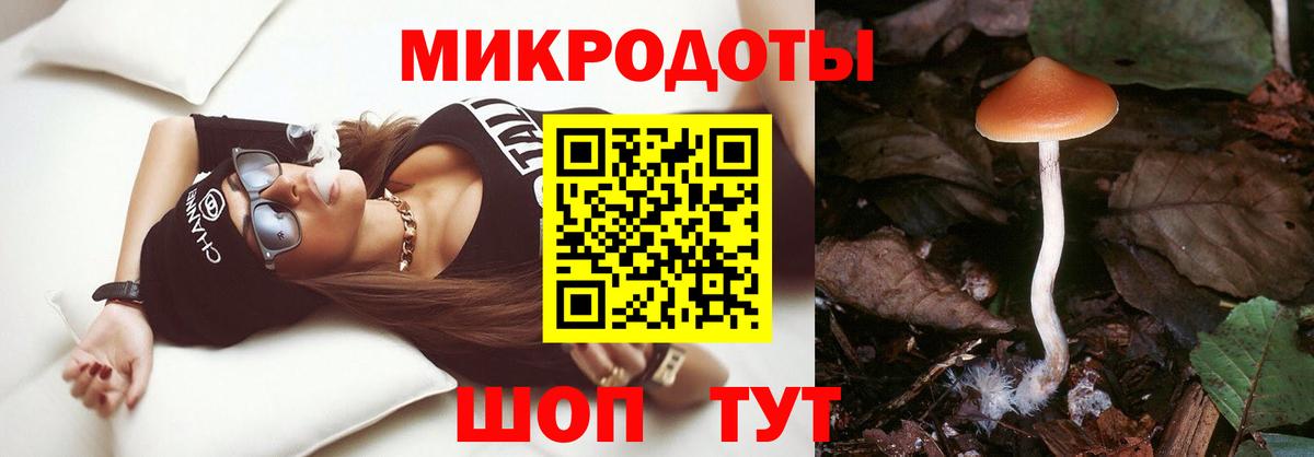 Псилоцибиновые грибы прущие грибы Волжск